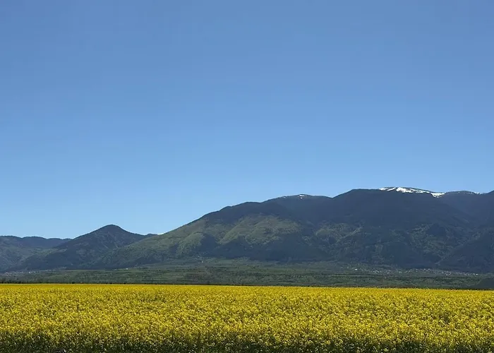 House Cherven Breg (Kyustendil)